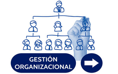 gestión organizacional
